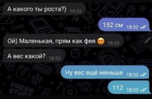 фея-шмель