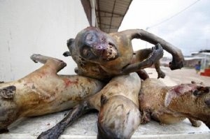 В конце видео надо было вставить вот этот снимок.
