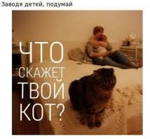 А кот примерно это скажет:
Меня из семьи забрали через 3 недели. Этот же уже полтора года с нами. Почему его никто не забирает?
