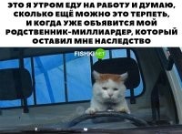 Смешные и познавательные картинки