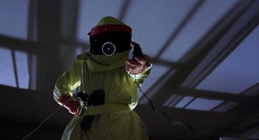 Бесстрашный пёс на страже дома