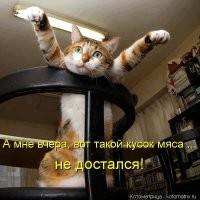 Смешные и познавательные картинки