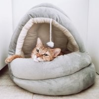 Ленивое доброе утро от одной из наших хвостиков :)