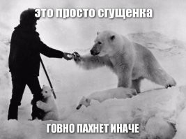 Улыбнись: демотиваторы на понедельник