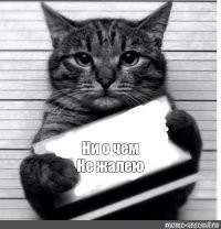  Преступника поймали с поличным