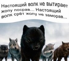 Не ищите здесь смысл. Здесь в основном маразм