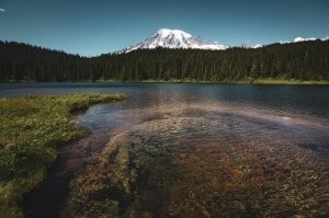 Сижу такой, работаю никого не трогаю, любуюсь красотами природы, и хз почему, но вот на этой фотке, в слух произношу "Ух тыж, плять! Туда хочу! " и фсё, пи. дец - завтра увольняюсь и на рыбалку)))
Япал я этот завод.