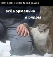 Больше похоже на "Не-не, Санек, не быкуй, нормальные пацаны, вроде!.."