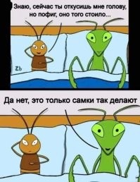 Неловко вышло: когда знакомство в интернете не привело ни к чему хорошему