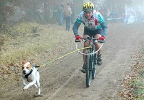 Смотря кто больше флегматик...