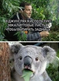 Что такое гимпи-гимпи и почему оно так опасно