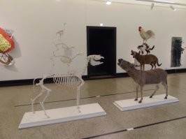 17 размеров из мира животных, которые вам покажутся ужасным: клыки, зубы, черепа, скелеты
