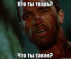 45 диких фотографий, которым не нужен контекст