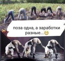 А вот есть у тех, кто на нижней фотке, картошечка своя,  домашняя, нежная и ароматная? Её почистишь, пожаришь с грибочками и салом, водочки в стопочку нальешь,  зелёного лучка с грядки нарвешь...
Нету? Ну и то-то же