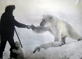 Я не знаю, как на самом деле было, это ужасный случай в любом случае. А была ли там надпись "злая собака"? А покормить и медведя можно дикого, даже если это мамаша с медвежатами