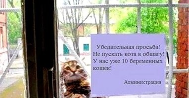 Напомнило -