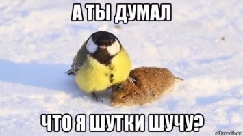Смешные и познавательные картинки