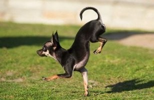 На позитиве