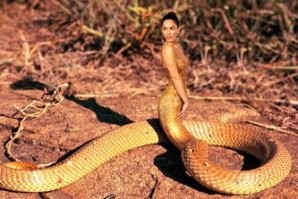 Намешалось