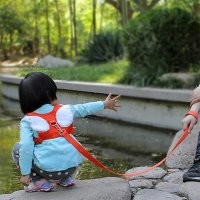 В Америке,Европе, Китае детей водят на поводках.  На шлейках. Уж лучше веревочка. у нас.чем шлейка.как у них.