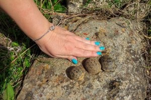 Вчера тоже самое увидел