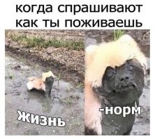 Не ищите здесь смысл. Здесь в основном маразм