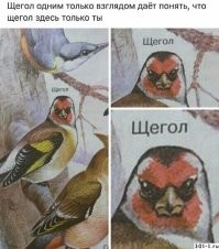 Смешные и познавательные картинки