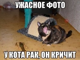 Не ищите здесь смысл. Здесь в основном маразм