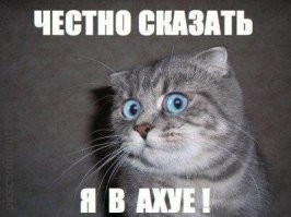 Скуластая красотка продолжает эксперименты с пластикой