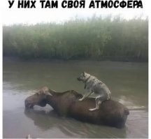 Калейдоскоп позитива. Выпуск 116