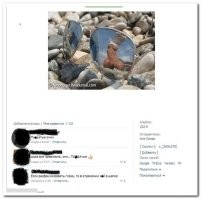 Смешные и познавательные картинки