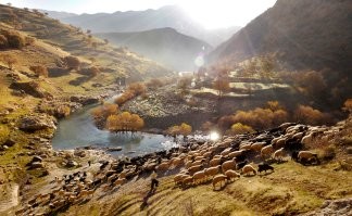 в Иран сейчас отправиться безопаснее, чем в Турцию. И природа там красивая. Был там, ковёр купил и на нём улетел.
