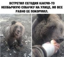 походу не в первый раз кормит)