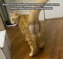Калейдоскоп позитива. Выпуск 117