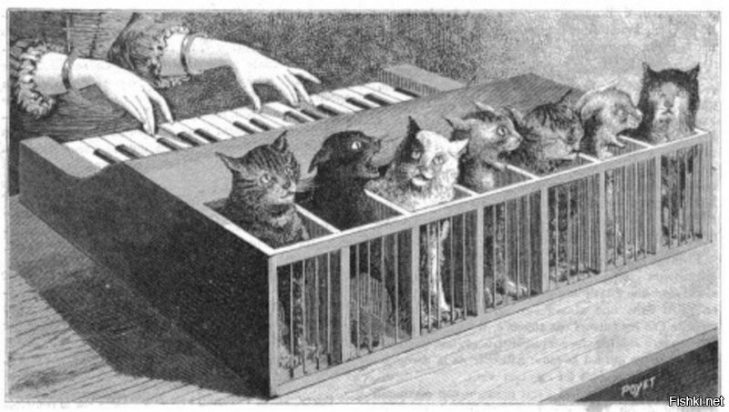Кошачье фортепиано