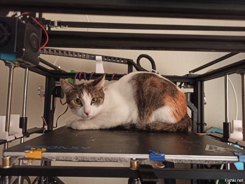 8 самых странных вещей, которые напечатал 3D-принтер