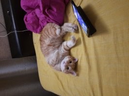 Наши чудЫ)))