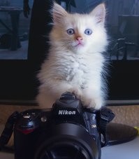 Вырасту - фотографом стану!