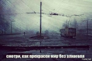 Алкопост на вечер этой пятницы