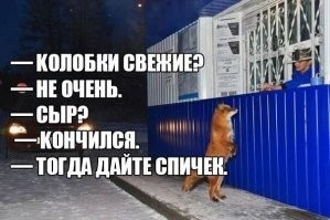 если рядом море, то продавать спички лисе противопоказано!