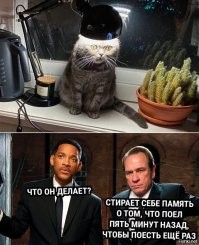 Без кота и жизнь не та