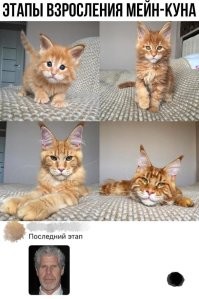 Смешные и познавательные картинки