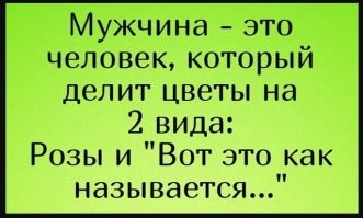 Это всё глупые стереотипы. Нормальные образованные мужчины знают огромное количество цветов:
 - розы - для женщины
 - гвоздики - на кладбище
 - тюльпаны - 8-е марта
 - пионы - не бери, быстро вянут
 - гладиолусы - училке на 1-е сентября
 - еще всякие, если баба говорит, что розы надоели