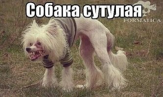 Смешные комментарии из&nbsp;социальных сетей-64