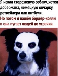лапки,глазки.... так себе... а вот собакен в предыдущем посте это что то с чем то