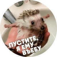 "Поэтическая справедливость": Метрополитен-опера заменит Анну Нетребко украинской певицей