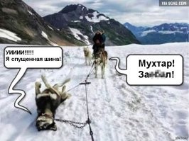 Калейдоскоп позитива. Выпуск 118