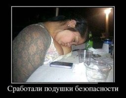 Смешные и познавательные картинки