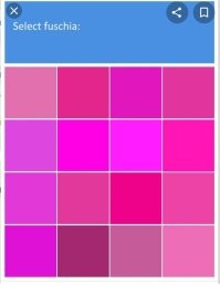 Потому что это фуксия.