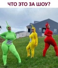 Толстожопики ?